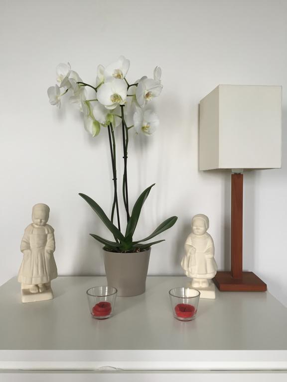 Appartement Design I - Port Du Rosmeur - דוארננה מראה חיצוני תמונה